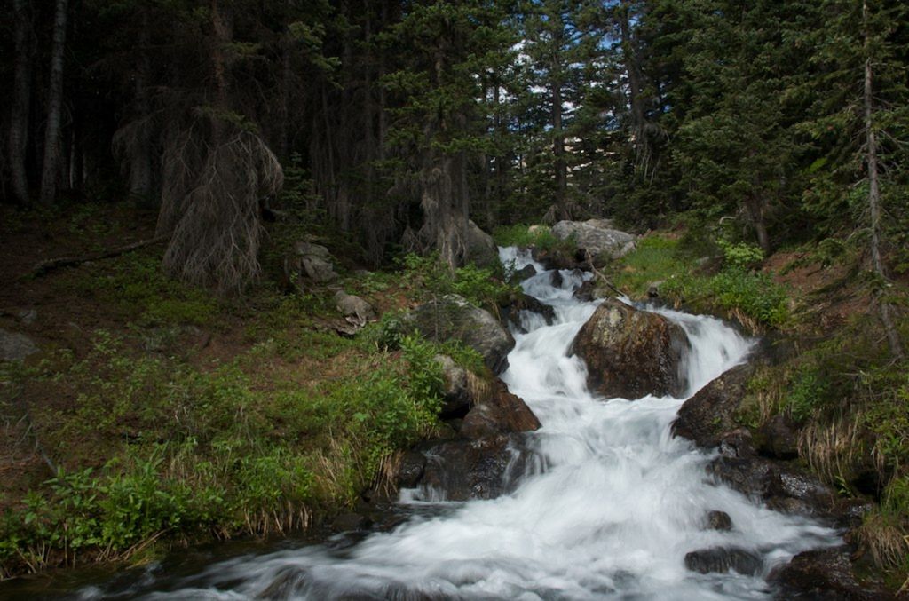 A small stream runs down a short cascade of rocks in the middle of a pine forest; a small boulder in the middle of the cascade briefly splits the stream in two; the surface of the stream appears white and smooth