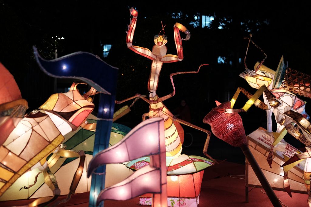 A praying mantis lantern made of translucent paper in reds, yellows, and white stretched over a frame of thin, flexible rods and illuminated from within rears back on its hind legs and raises its arms menacingly; it is surrounded by other large lantern insects in a variety of hues and of similar construction