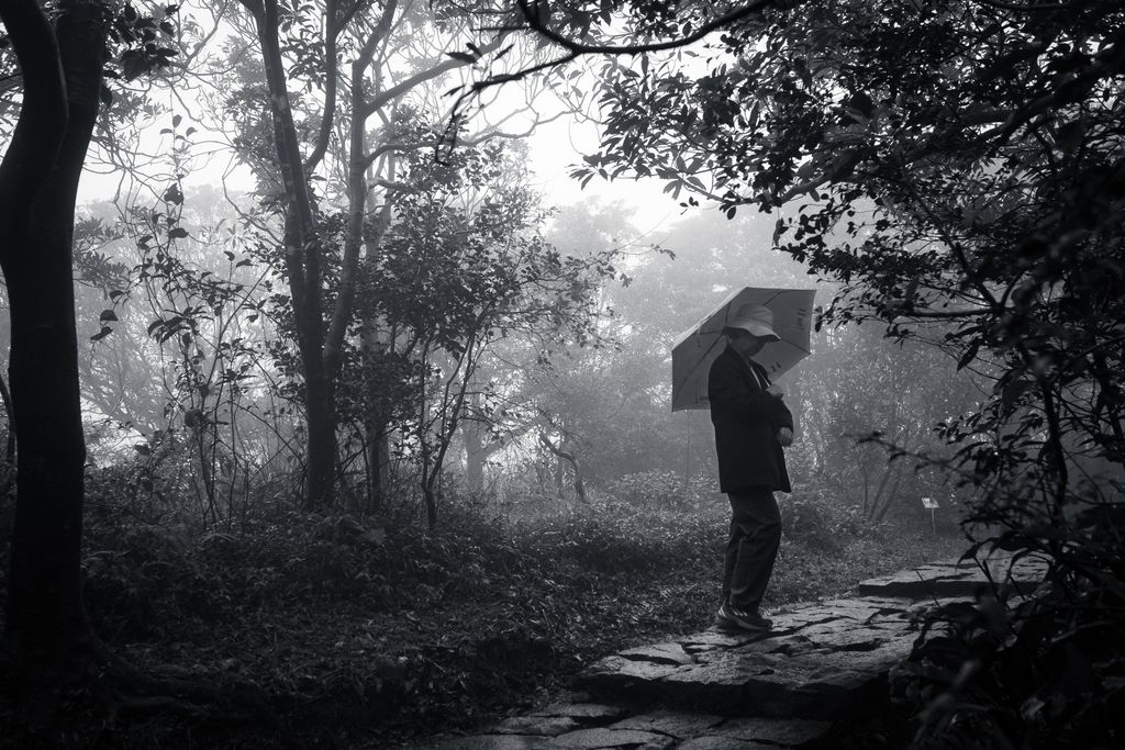 A black and white of a woman holding an open umbrella on a foggy day standing on a stone path; she is wearing a light colored hat with a brim that goes all the way around, a dark jacket, and dark trousers and is carrying the umbrella over her shoulder as she looks down at the ground towards the right edge of the frame; the path is paved with irregularly cut stones that are placed to form a relatively flat path with shallow steps leading from teh bottom center of the frame off to the right edge of the frame and is surrounded by trees and bushes