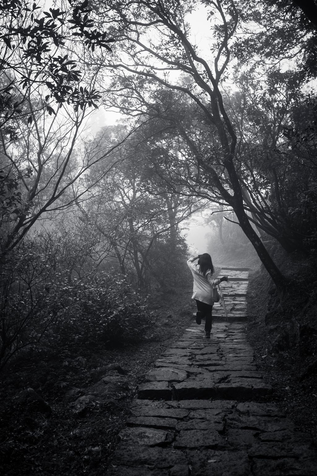 A black and white photo of a woman walking away from the camera along a stone path on a foggy day; the paving stones are large and irregularly shaped, but they form a flat, regular path heading off into the distance; the pathis surrounded by trees and bushes; the woman is kicking up her left heel as she walks and waving her arms above her head, she has long, dark hair and is carrying a purse draped over her right arm