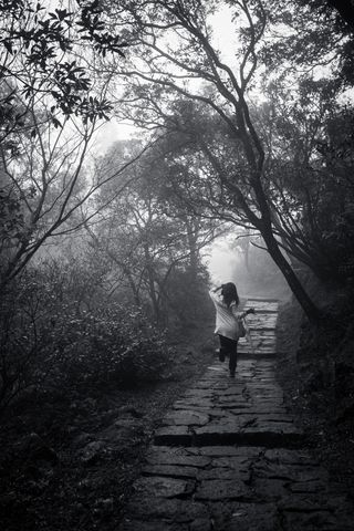 A black and white photo of a woman walking away from the camera along a stone path on a foggy day; the paving stones are large and irregularly shaped, but they form a flat, regular path heading off into the distance; the pathis surrounded by trees and bushes; the woman is kicking up her left heel as she walks and waving her arms above her head, she has long, dark hair and is carrying a purse draped over her right arm