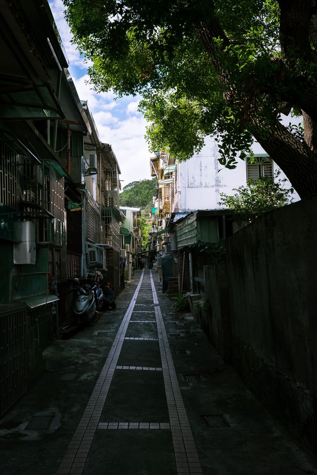 An alley lined by apartment buildings; many of the buildings have awnings or metal cages protruding from the side of the buildings over the windows; a large tree on the right side of the frame grows up and over a concrete wall, providing a canopy at the entrance to the alley; the alley is concrete and has some inlaid square tiles forming two parellel lines down the center of the alley, with rows of perpendicular tiles at regular intervals dividing the concrete up into rectangles between the two liens