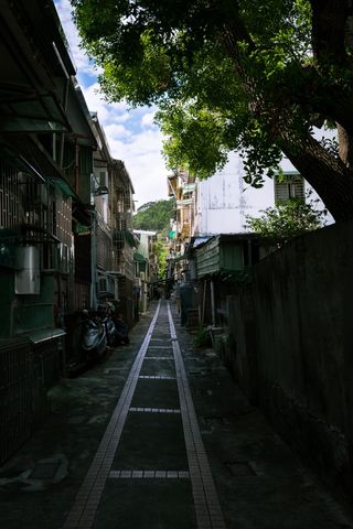 An alley lined by apartment buildings; many of the buildings have awnings or metal cages protruding from the side of the buildings over the windows; a large tree on the right side of the frame grows up and over a concrete wall, providing a canopy at the entrance to the alley; the alley is concrete and has some inlaid square tiles forming two parellel lines down the center of the alley, with rows of perpendicular tiles at regular intervals dividing the concrete up into rectangles between the two liens