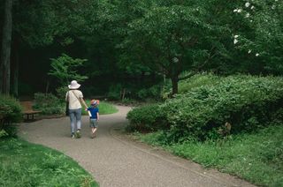 A woman and a boy walk hand-in-hand away from the camera on a paved path amidst a verdant forest